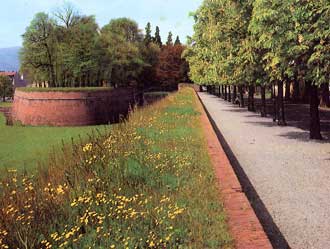 the walls of Lucca