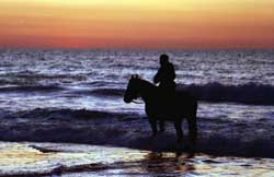 Versilia tematische routes